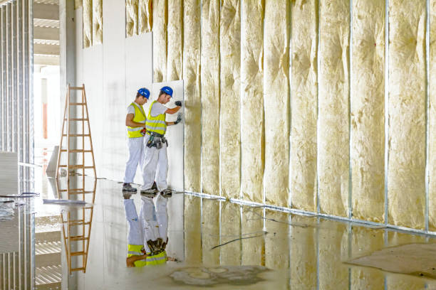 Best Insulation Replacement  in Schlusser, PA